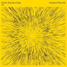 Various Artists, Vinyl FUTURE SOUNDS OF JAZZ 13