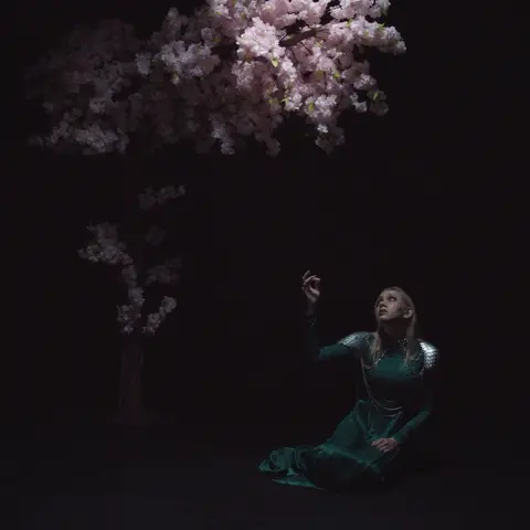 AS THE LIGHT LEFT
