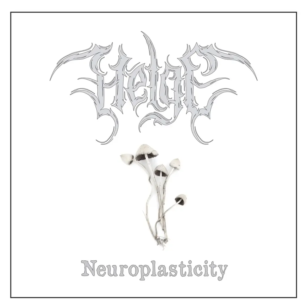 NEUROPLASTICITY