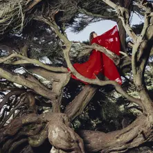 Hannah Frances, Vinyl NESTED IN TANGLES