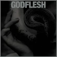 GODFLESH - PURGE thumbnail
