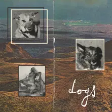 CD DOGS