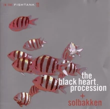 CD IN THE FISHTANK