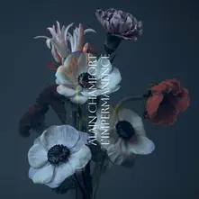 Vinyl L'IMPERMANENCE