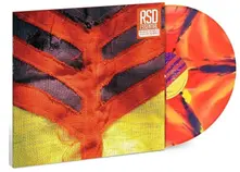Yeah Yeah Yeahs, Vinyl SHOW YOUR BONES