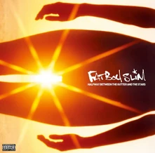 Fatboy Slim, Vinyl Halfway Between The Gutter And The Stars