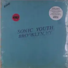 Vinyl LIVE IN BROOKLYN 2011