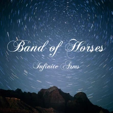Band of Horses, Vinyl Infinite Arms