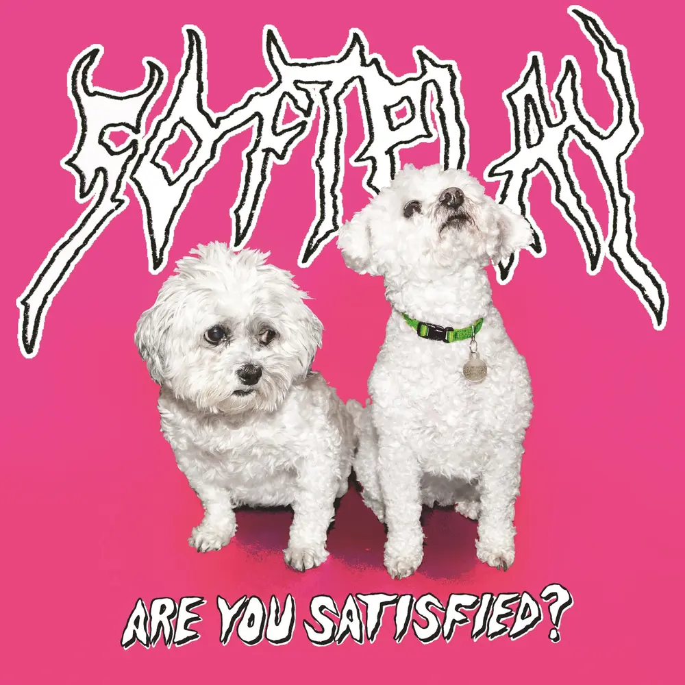 Soft Play – ARE YOU SATISFIED? (Vinyl)