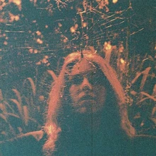 Vinyl PERIPHERAL VISION