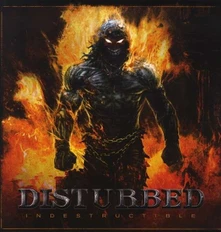 Vinyl INDESTRUCTIBLE