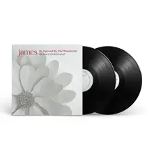 Vinyl Be Opened By The Wonderful