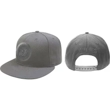 Ramones, Šiltovka Presidential Seal, Unisex, Šedá