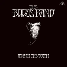 The Budos Band, Vinyl LONG IN THE TOOTH