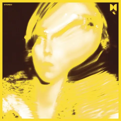 Ty Segall – Vinyl Twins
