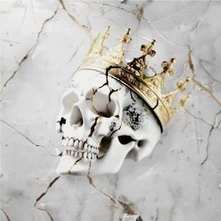 Vinyl Beautifully Broken