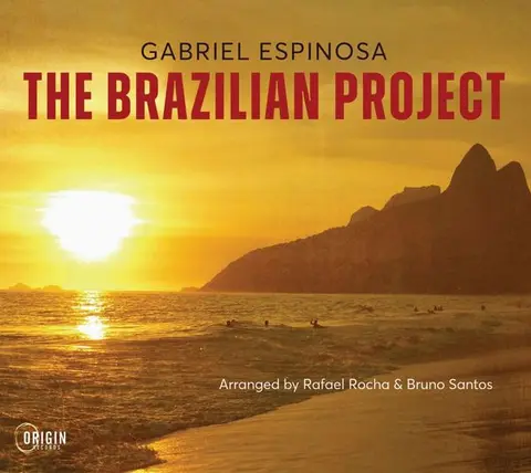 THE BRAZILIAN PROJECT