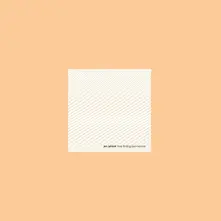 Jan Jelinek – LOOP-FINDING-JAZZ-RECORDS (Vinyl)
