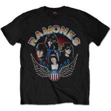 Vintage Wings Photo