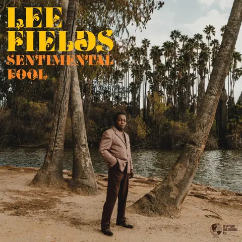Lee Fields – Vinyl SENTIMENTAL FOOL (Multicolour Vinyl)