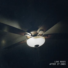 Like Roses, Vinyl AFTER IT ENDS