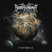 Borknagar, Vinyl Universal (Re-Issue 2023)