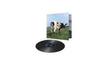 Vinyl Atom Heart Mother
