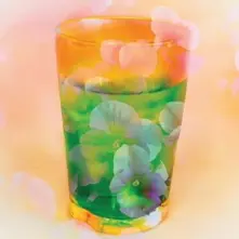 SUSANNE LEWIS thumbnail