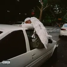 NEGRO SWAN thumbnail