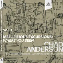Chad Anderson – MELLIFLUOUS EXCURSIONS VOL.1: WHERE YOU BEEN (CD)