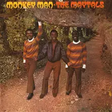 Monkey Man thumbnail