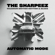 Vinyl AUTOMATIC MODE