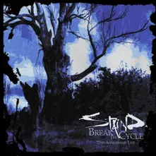 Staind – BREAK THE CYCLE (CD)