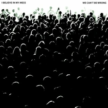I Believe In My Mess, Vinyl WE CAN'T BE WRONG