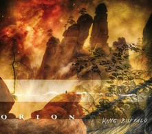 Vinyl ORION