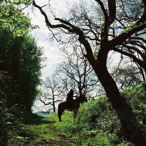 INBASIOAK