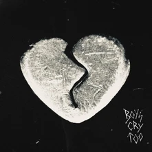 The Haunted Youth, CD BOYS CRY TOO