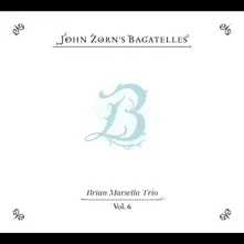 John Zorn – THE BAGATELLES VOL. 6 - BRIAN MARSELLA TRIO (CD)