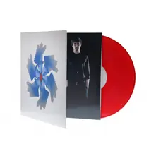 Vinyl HOLOMRAZ