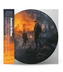 Vinyl It’ll All Make Sense in the End (Picture Vinyl)