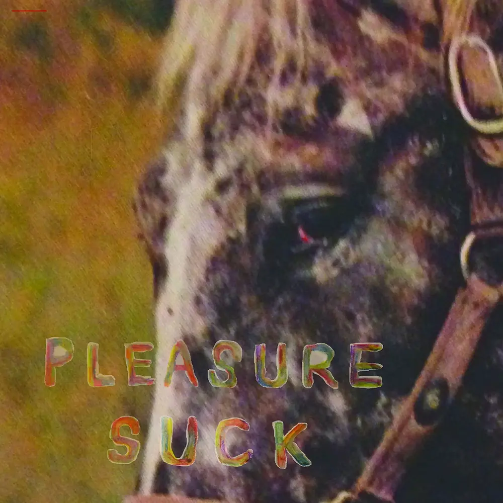 PLEASURE SUCK