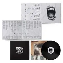 Gavin James, Vinyl Goldrush