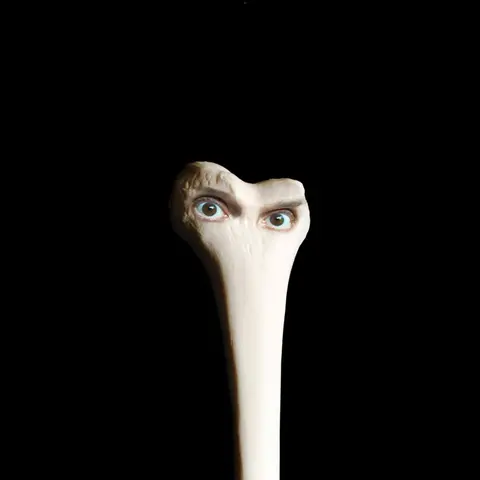 Juana Molina – CD MOLINA, JUANA - HALO
