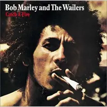Vinyl And The Wailers - Catch A Fire