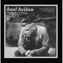Asaf Avidan, CD THE STUDY ON FALLING