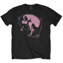 Pig thumbnail