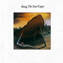 Sting, Vinyl The Soul Cages