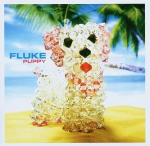 CD FLUKE - PUPPY