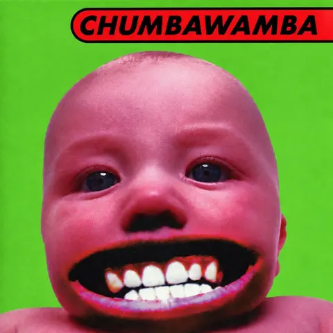 Chumbawamba – Vinyl TUBTHUMPER