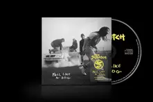 CD Pull Like a Dog